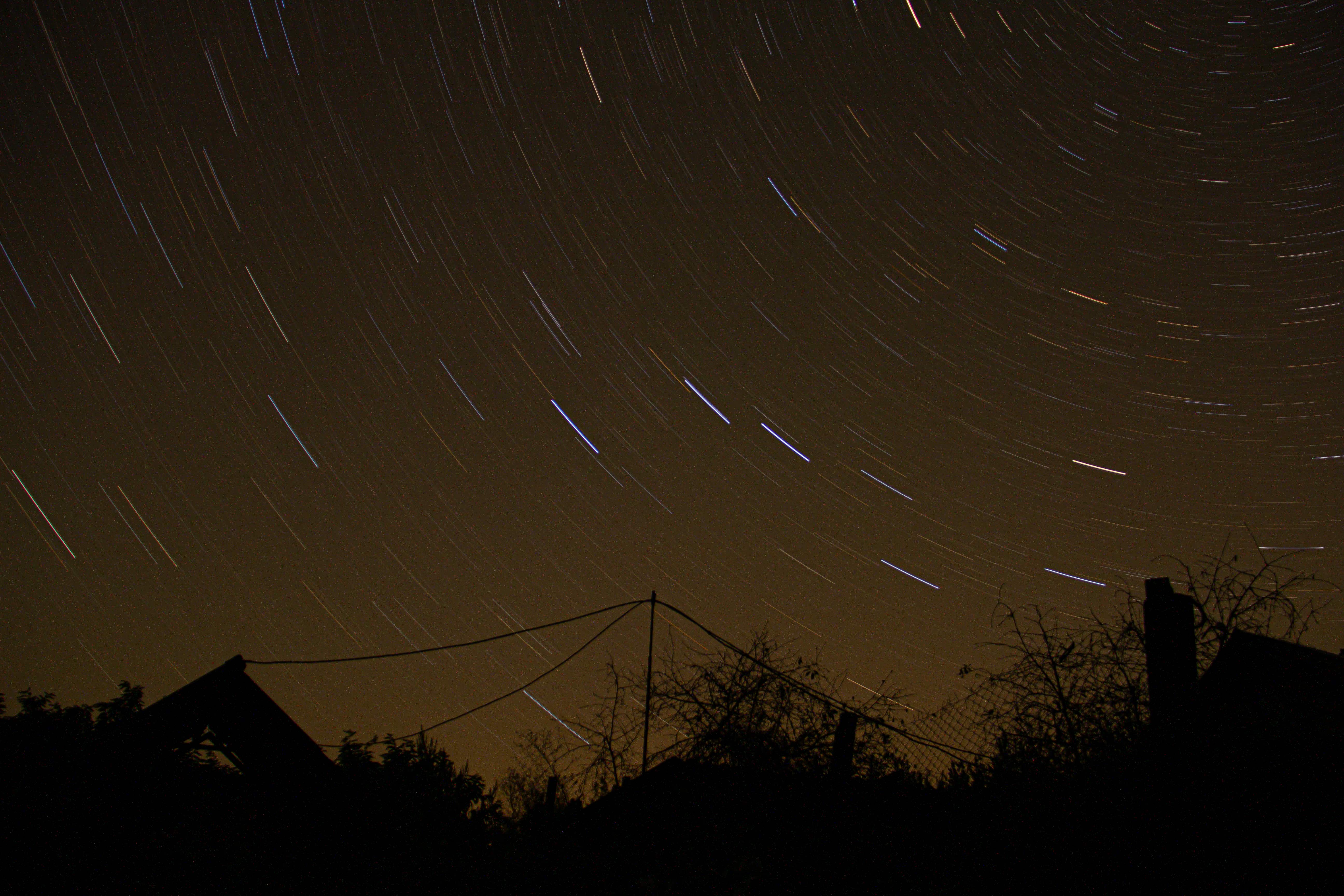 Виставка Алли «Рути» Пушкарчук у просторі INDEX