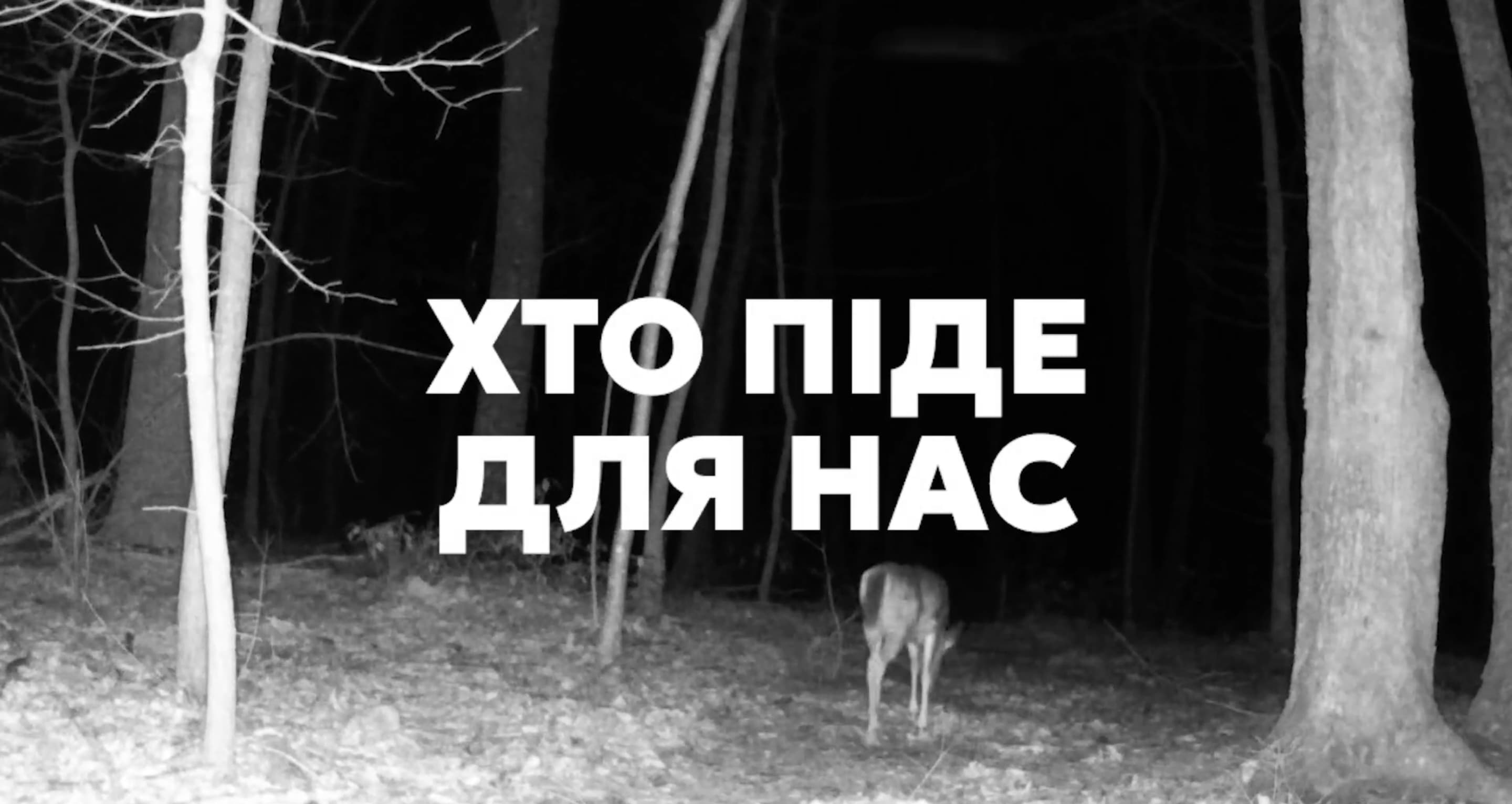 Відеопоказ і розмова з Богдоном Бунчаком