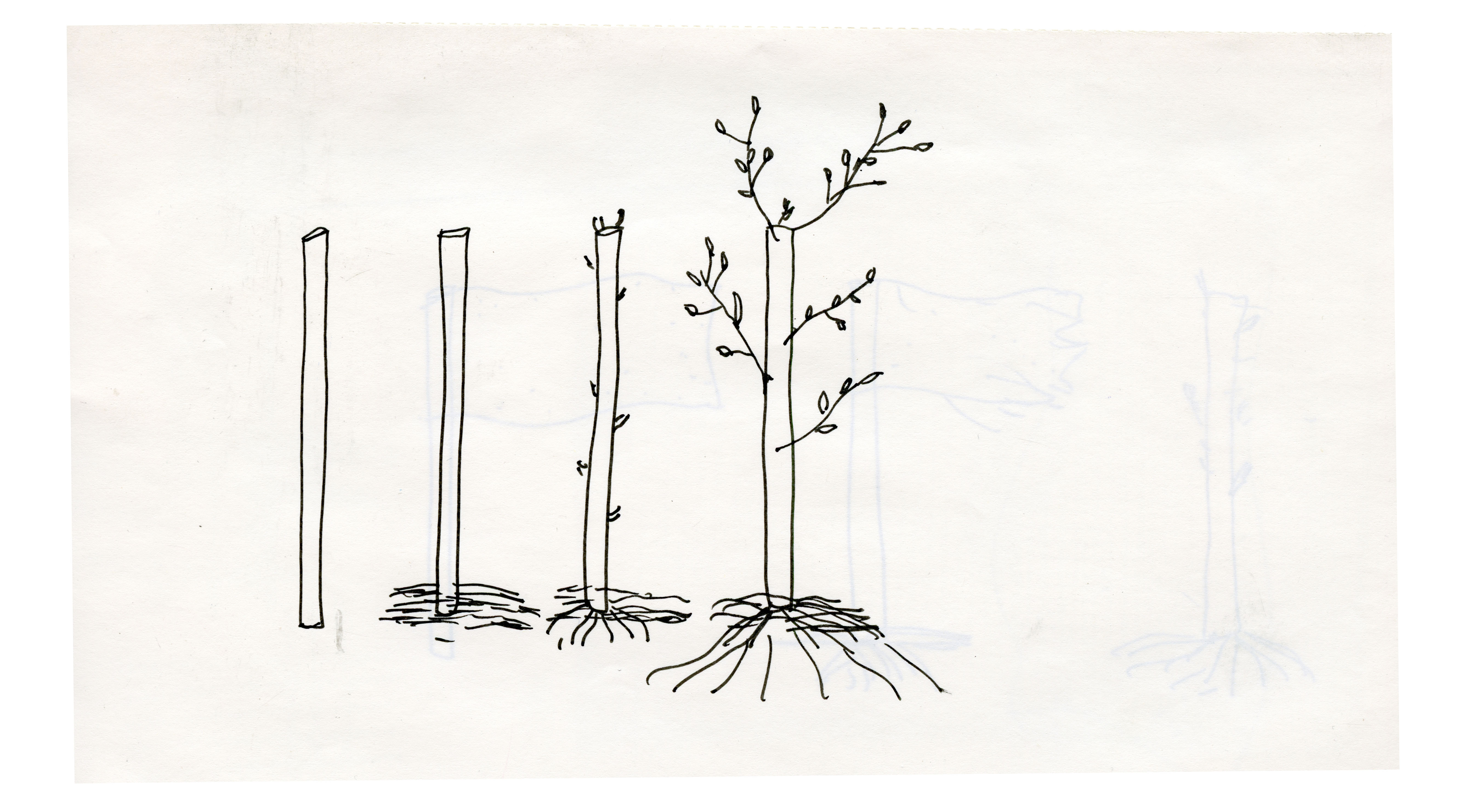 Презентація збірки "Документування війни: між Україною і світом"