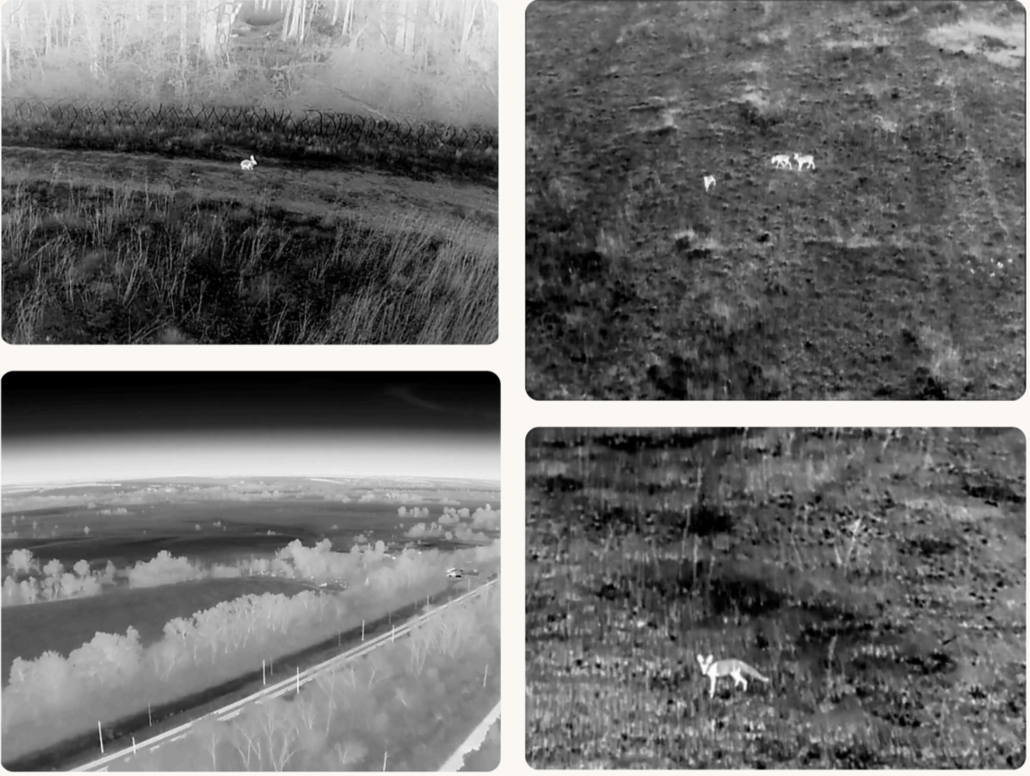 When I close my eyes, I dream of drones