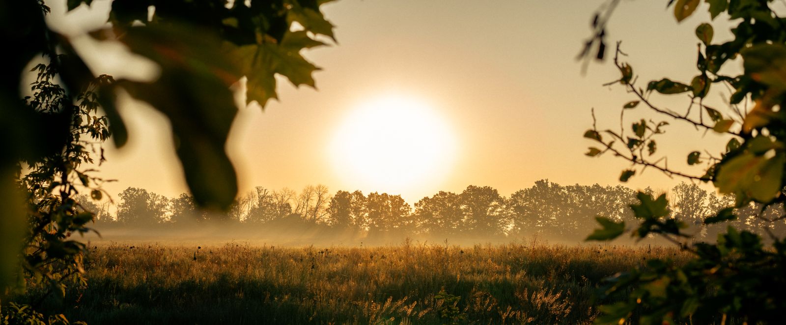 (Non-)Theatrical Diaries