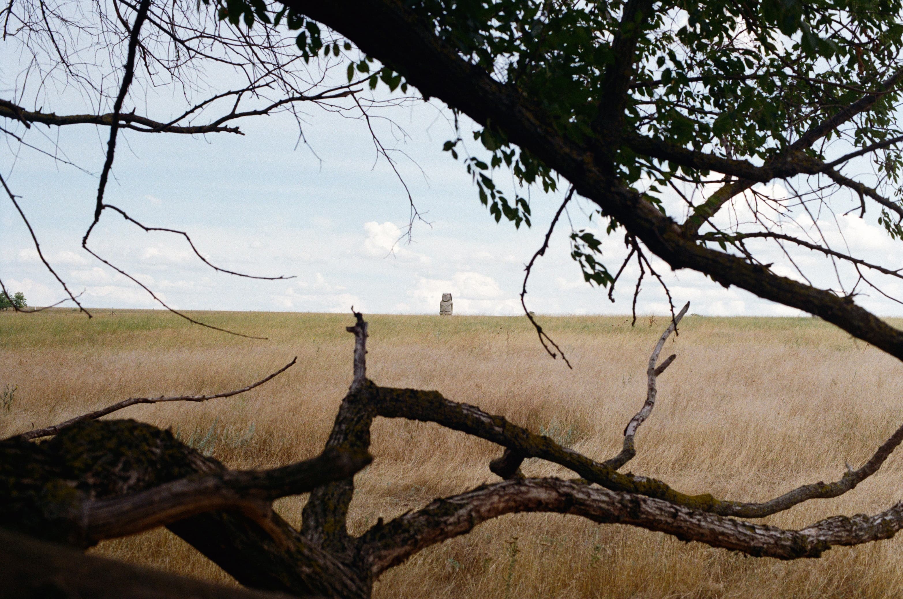 Tarutynskyy Steppe: A Field Trip into the Primeval Steppeland under the Environmental Humanities Programme